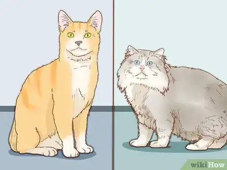 Image titled Find the Right Cat Breed for You Step 2