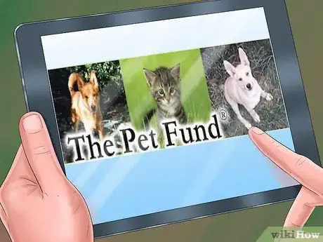 Image titled Find Low‐Cost Spay or Neuter Programs for Cats Step 6