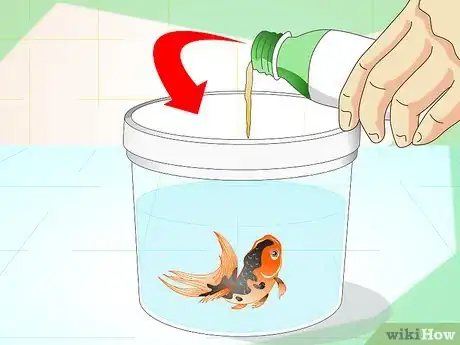 Image titled Identify Aquarium Fish Diseases Step 7