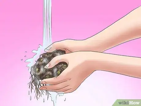 Image titled Winterize Calla Lily Bulbs Step 3