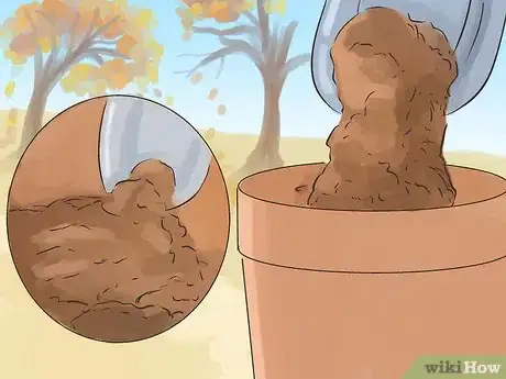 Image titled Grow Jonquils Step 3