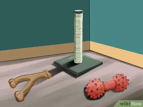 Image titled Take Pictures of Your Black Pet Step 4