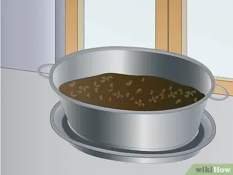 Image titled Grow Corn Indoors Step 5