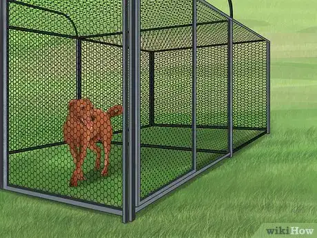 Image titled Treat a Dog for Rabies Step 9