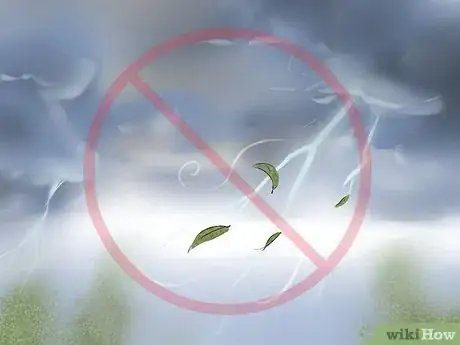 Image titled Free Climb a Tree Step 3