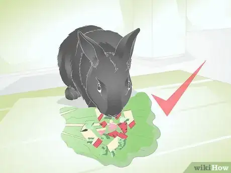 Image titled Choose Rabbit Treats Step 4