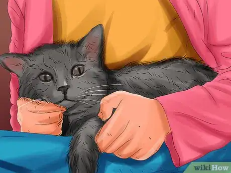 Image titled Take Care of a Selkirk Rex Step 10