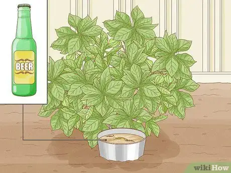 Image titled Does Vinegar Work for Slug Control Step 6