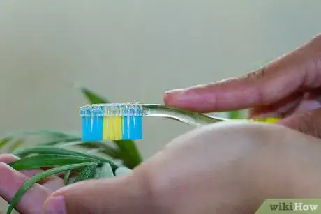 Image titled Clean Your Indoor Houseplants Step 3Bullet1