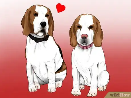 Image titled Stop Your Dog from Running Out of the Backyard Step 2