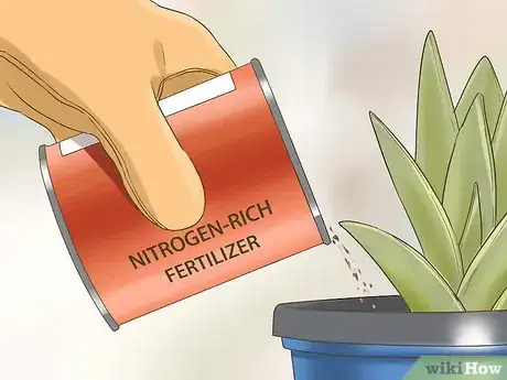 Image titled Grow a Miniature Succulent Garden Step 12