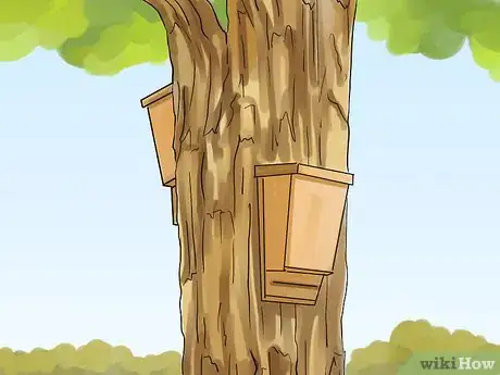 Image titled Improve Biodiversity in Schools Step 3