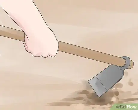 Image titled Keep Weeds Out of Your Vegetable Garden Step 1