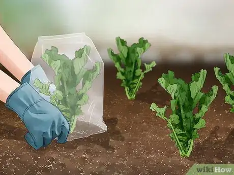 Image titled Reuse Shopping Bags Step 4