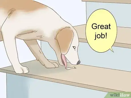 Image titled Train a Blind Dog to Handle the Stairs Step 10