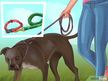 Image titled Be Prepared for Walking Your Dog Step 7