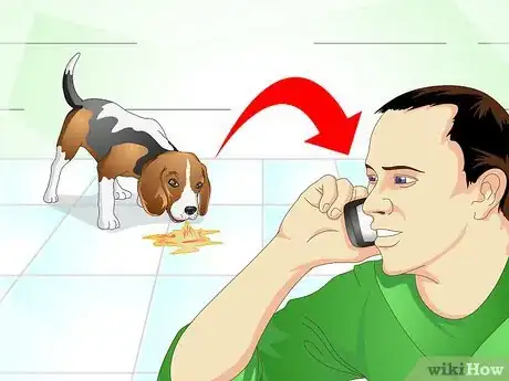 Image titled Nurse a Dog when It's Sick Step 3