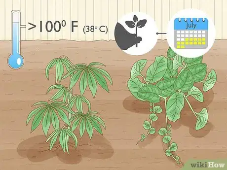 Image titled Grow a Summer Garden Step 6