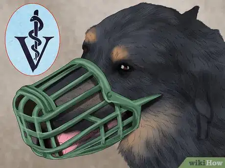 Image titled Help a Dog Suffering from Trauma Step 1