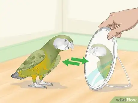 Image titled Keep a Senegal Parrot Entertained Step 13