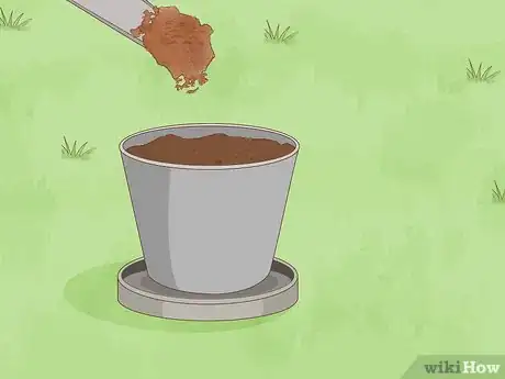 Image titled Grow Sundews Step 12