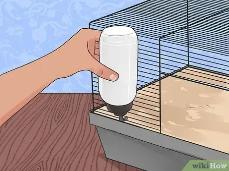 Image titled Feed Dwarf Hamsters Step 6