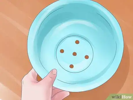 Image titled Care for Amaryllis Flowers Step 5