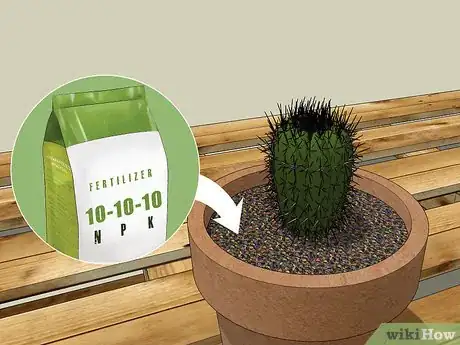 Image titled Care for a Cactus Step 8