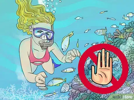 Image titled Protect Coral Reefs when Snorkeling Step 1