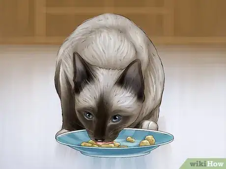 Image titled Take Care of a Javanese Cat Step 2