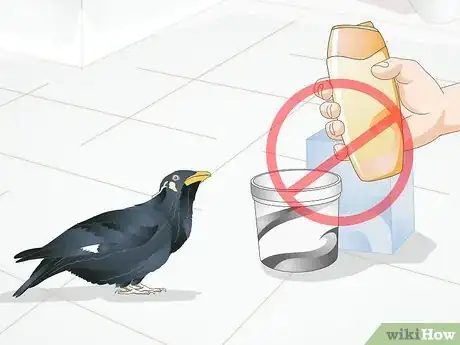 Image titled Avoid Poisoning Your Pet Bird Step 6