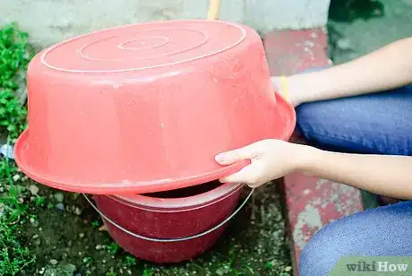 Image titled Make Seaweed Tea Liquid Fertiliser Step 5