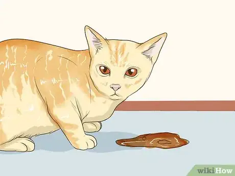 Image titled Take Care of a Burmilla Cat Step 4