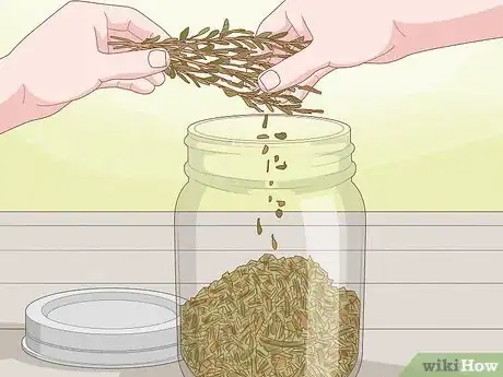 Image titled Harvest Tarragon Step 11