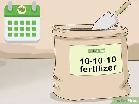 Image titled Grow Boronia Step 14