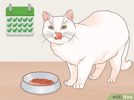 Image titled Be Responsible when You Have a Cat Step 5