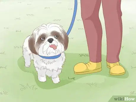 Image titled Prevent Dog Fights Step 12