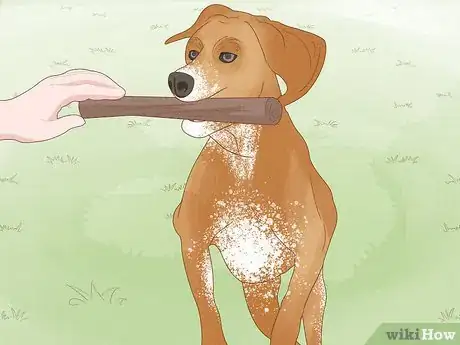Image titled Prevent Dog Fights Step 19