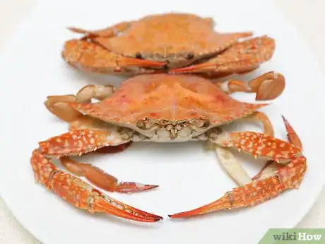 Image titled Cook a Crab Final