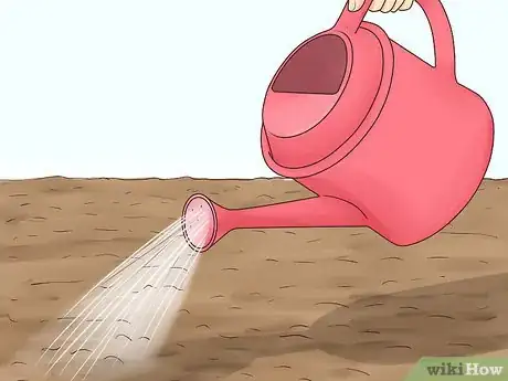 Image titled Plant Grass Plugs Step 4