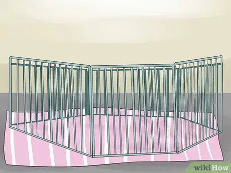 Image titled Introduce Your Guinea Pig to Floor Time Step 4