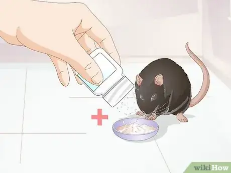 Image titled Identify Pinworms in Mice Step 5