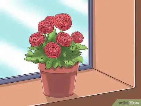 Image titled Plant and Care for a Ranunculus Step 13