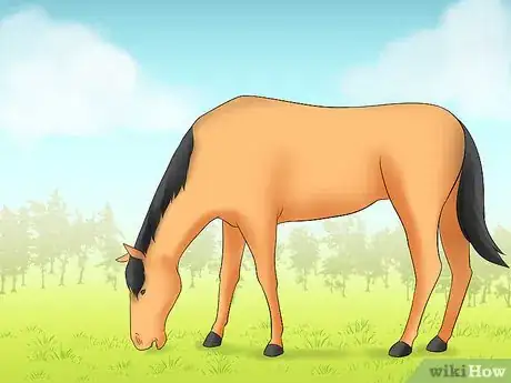 Image titled Avoid Poisoning Your Horse Step 6