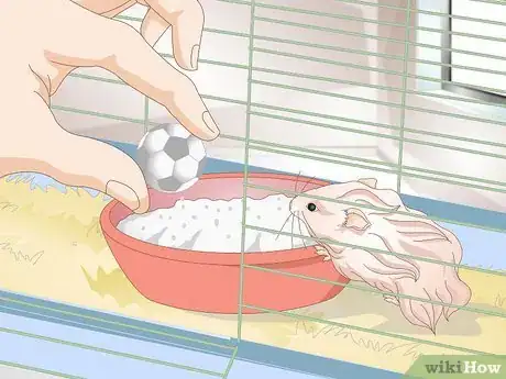 Image titled Clean a Long Haired Hamster Step 4