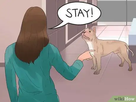 Image titled Teach Your Dog to Bolt from a Standing Start Step 2