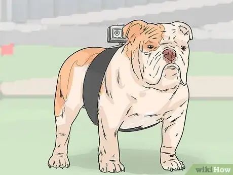 Image titled Choose Gifts for New Dog Owners Step 13