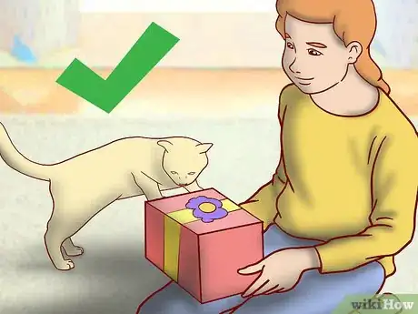 Image titled Include Your Cat in Holiday Celebrations Step 12