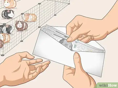 Image titled Run a Guinea Pig Rescue Step 25