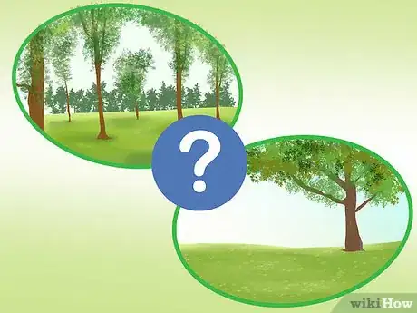 Image titled Plan a Forest‐Themed Birthday Party Step 2